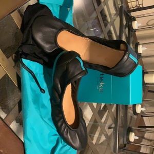 TEKS by Gavrieli flats